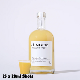 Organic Ginger & Pineapple 500ml